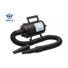 Aeolus TD-901T Cyclone dog dryer